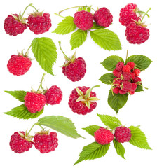 collection of ripe raspberries