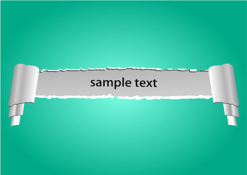 Vector design blank