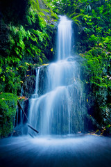Obrazy na Szkle  Piękny bujny wodospad