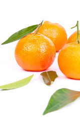 mandarins