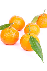 mandarins