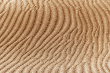 Fototapeta na wymiar image of sand dunes