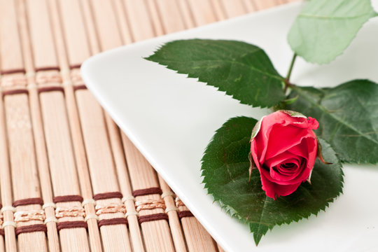 small red rose