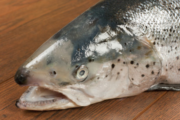 The head of Norwegian salmon