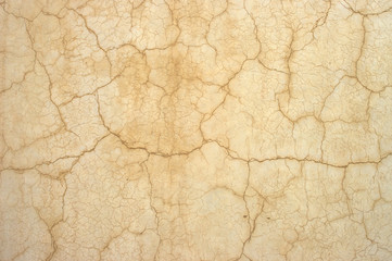 A white-lime wall covered with cracks