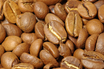 coffee grains