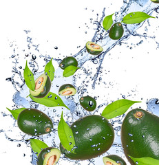 Fresh avocado in water splash,isolated on white background
