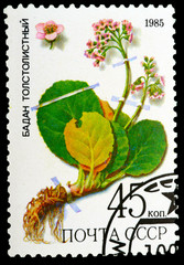 Postage Stamp