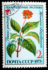 Fototapeta na wymiar Postage Stamp