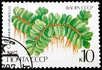 Postage Stamp