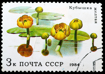 Postage Stamp
