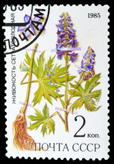 Postage Stamp