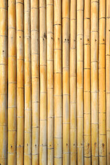 Light Golden bamboo Background