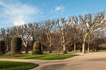 allées du jardin des plantes à Paris