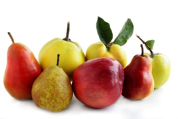 autumn fruits