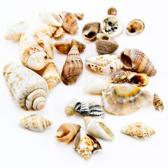 Many shells