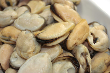 moules
