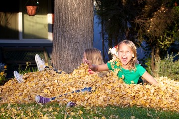 Raking the Leaves