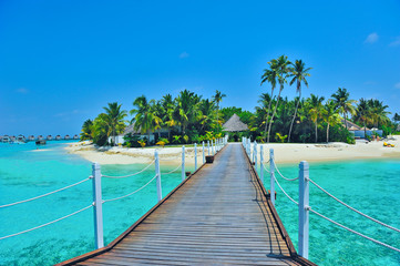 Maldives island - 38155477