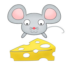 little mouse watching cheese isolated on white