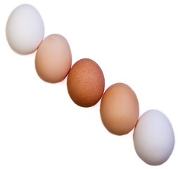 Diagonal Eggs