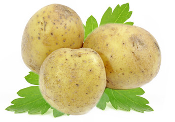 Potato isolated on white background