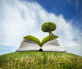 Open book with tree on grass