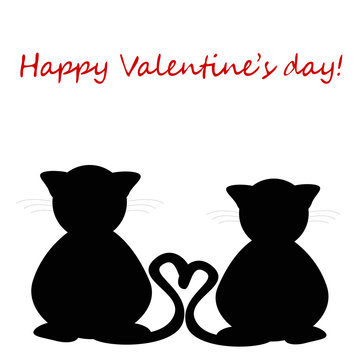san valentino - teneri gattini innamorati