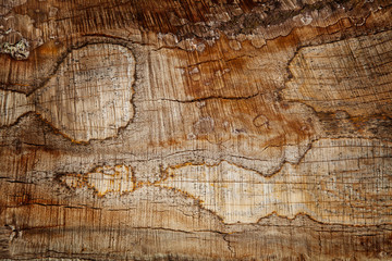 Rusty Wood Background