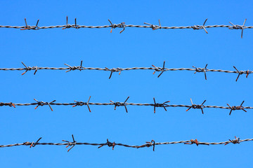 barbed wire on blue sky