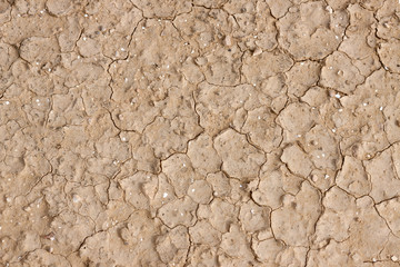 Cracked earth