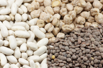 legumes