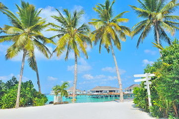 Fototapeta na wymiar Maldives island and white beach