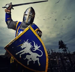Fototapeten Mittelalterlicher Ritter gegen Hügel voller Kreuze. © Nejron Photo