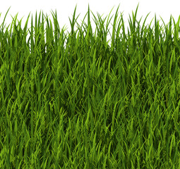 Tiling texture – Grass