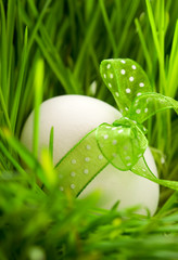 Easter egg