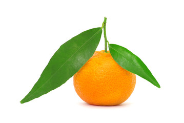 mandarin