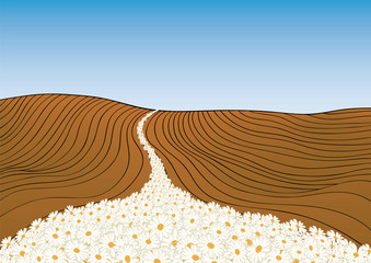 strada di fiori © robodread