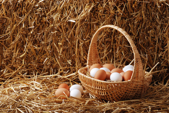 Brown And White Eggs In A Basket