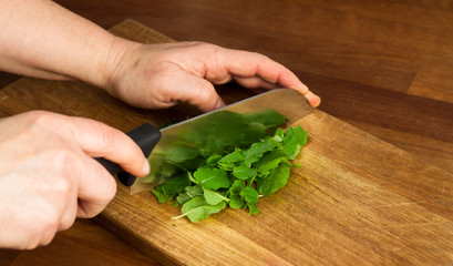 Woman cutting mint leaves