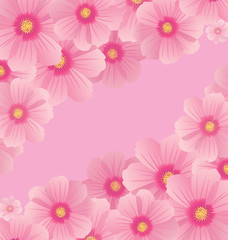 pink cosmos flowers borders and corners vector