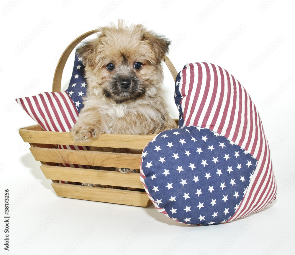 Sticker forth of july puppy