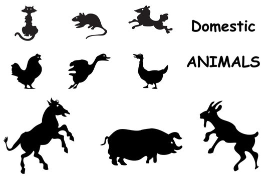 domestic animals silhouettes