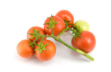 tomato