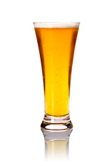 Glass of lager beer isolated on white