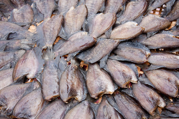 Dried fish.