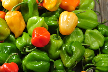 peperoncino messicano chile habanero