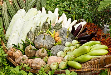 Group of tropical vegetables