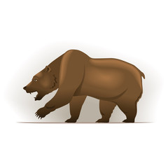 Bear vector illustration, financial theme