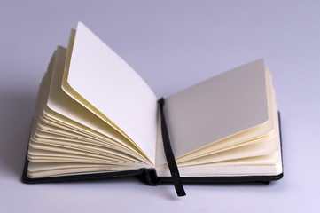 small notebook open on a blank page